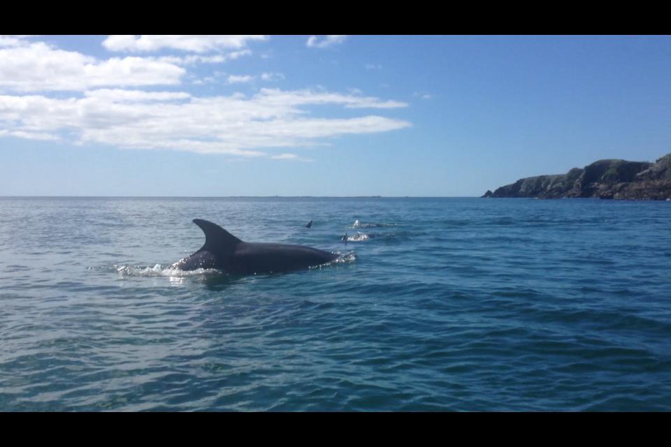Dolphin Beach House Hotel Clifden Eksteriør billede